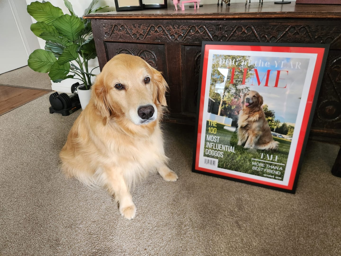 Customer photo review of Pet Portrait Magazine Cover