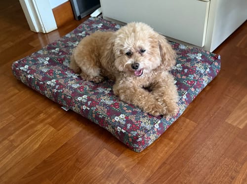 Customer photo review of Cover Materassino Cotone Panama Stampa Liberty Floreale