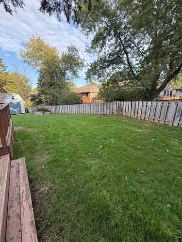 Customer photo review of GCI Turf Spreader Elite Grass Seed