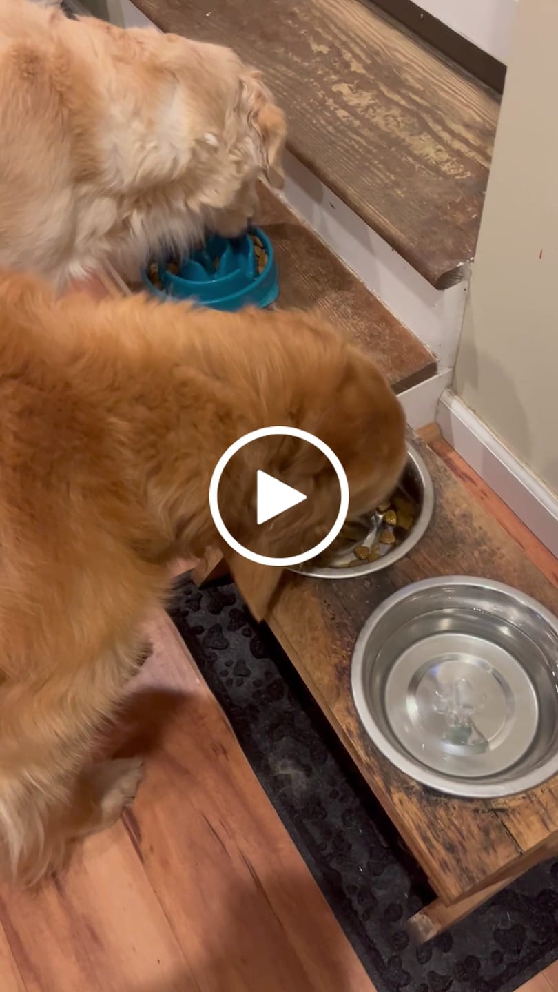 Customer video review of Golden Gravy