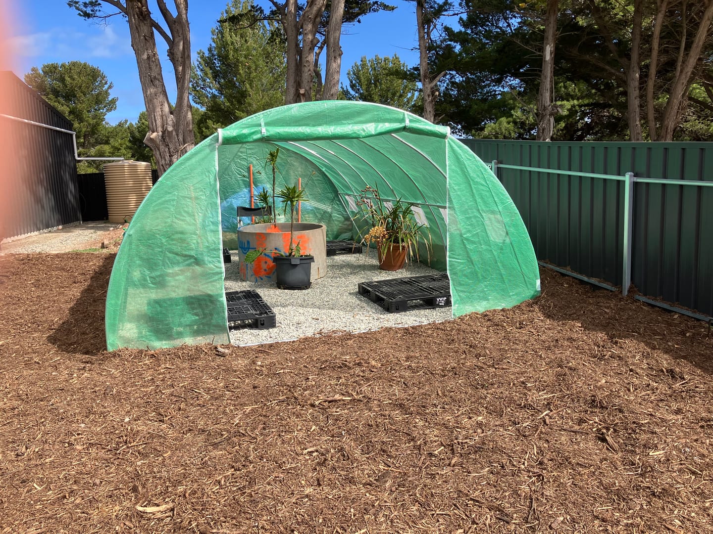 Customer photo review of Greenfingers 6 x 4 x 2M Walk In Greenhouse Tunnel