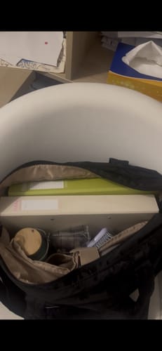 Customer photo review of The Bubble 20L Puffy 15.6" Laptop Work Tote