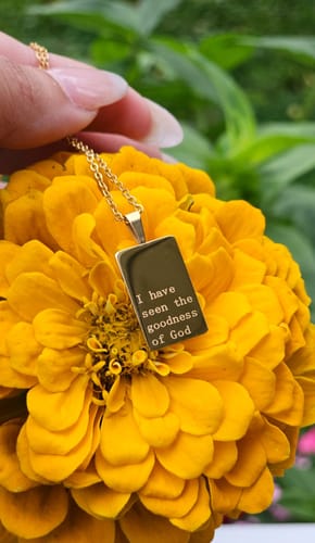 Customer photo review of Necklace: I have seen the goodness of God