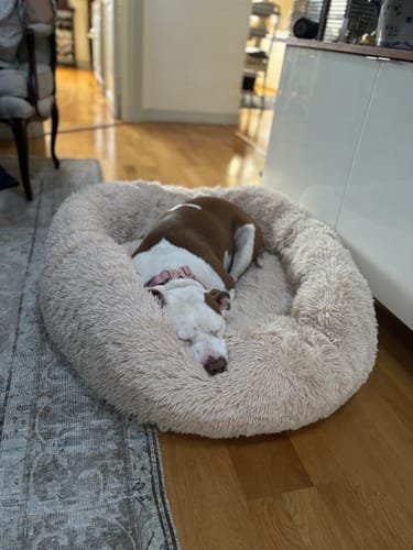 Customer photo review of CalmBed - Motverkar stress & hjälper mot ångest