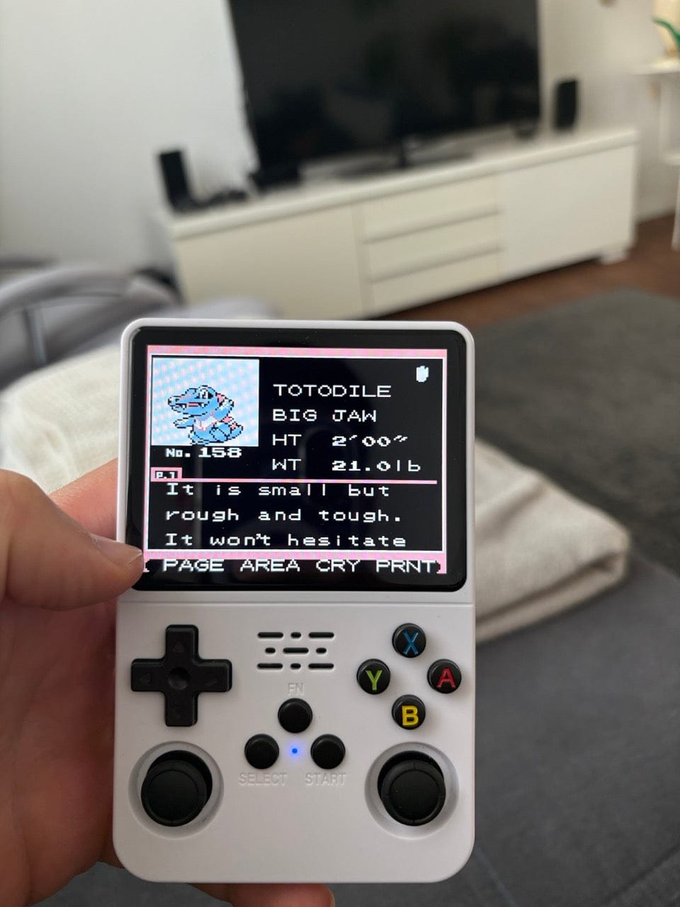 Customer photo review of RetroGame Pro