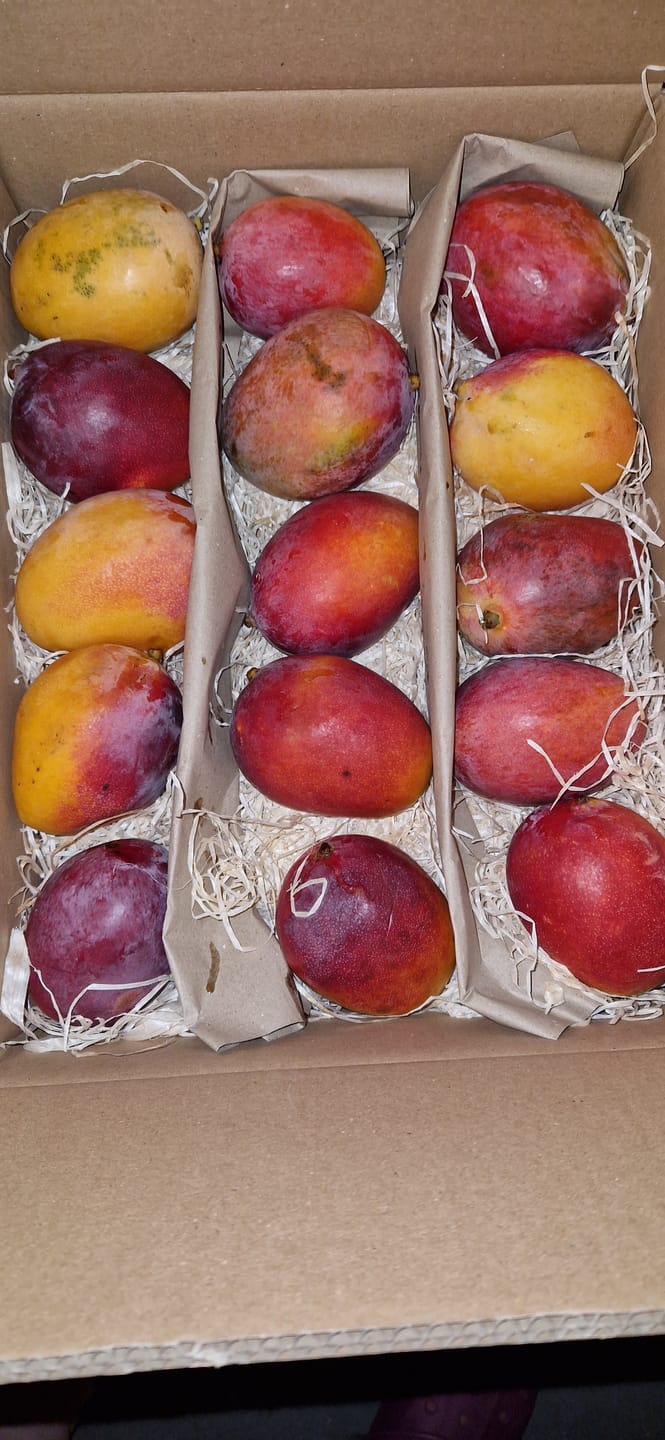 Customer photo review of Mango Sensacion Sonderaktion %
