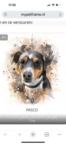 Customer photo review of Waterverf Portret