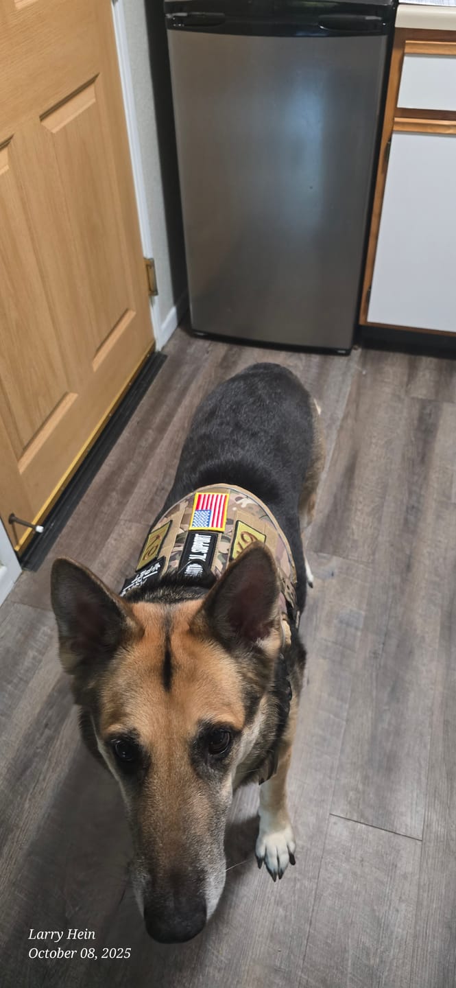 Customer photo review of Hook & Loop Patch Variety Bundle For Harness (Pack of 12)