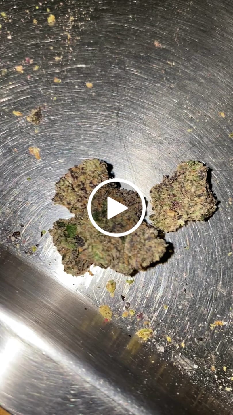 Customer video review of Blue Lobster