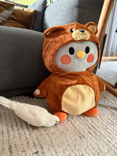 Customer photo review of Gray Plushie: Where Soft Self-Care Begins