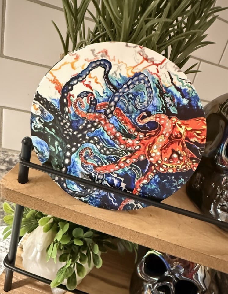 Customer photo review of The Duel Coasters & Chtapodi Stickers
