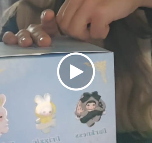 Customer video review of 【US 3-5 Arrival】NOMMI Weather forecast Blind box