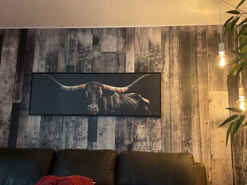Customer photo review of Black Texas Longhorn Cow Long  Horizontal Framed Canvas Wall Art