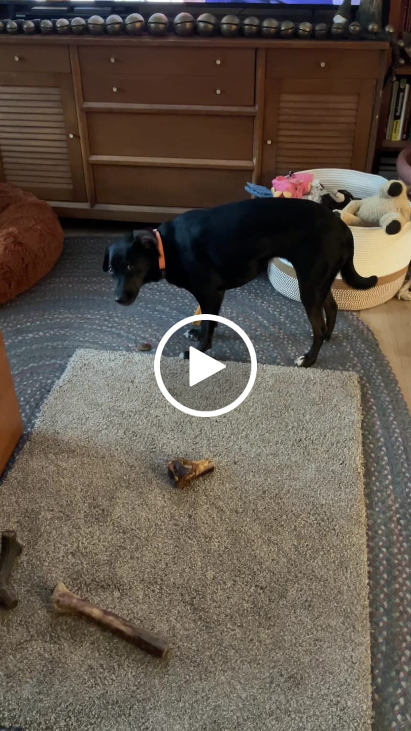 Customer video review of Mystery Gift