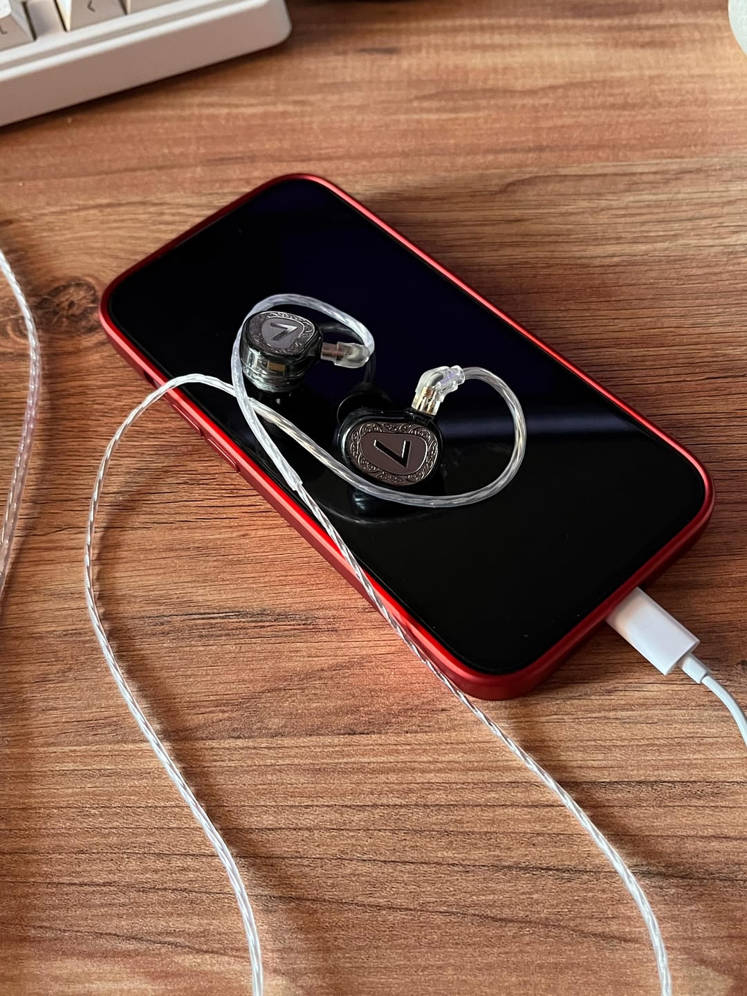 Customer photo review of 7Hz Elua Ultra IEM Kulaklık