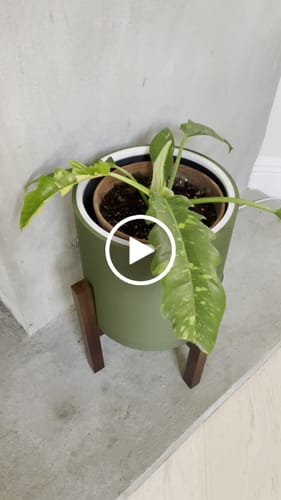 Customer video review of Aura | Medium Round LED Planter - Zen Sage