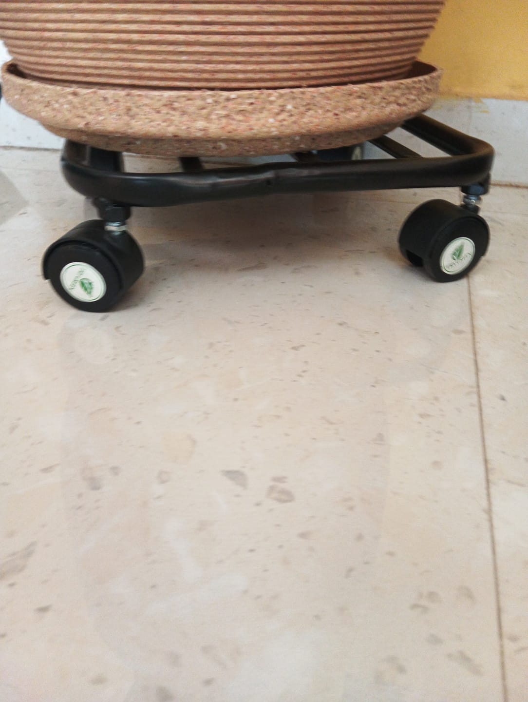 Customer photo review of TryGreen Daze Wheel Rolling Plant Stand for Planters