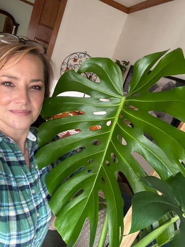 Beth C. review of Plant Food image 1 out of 1