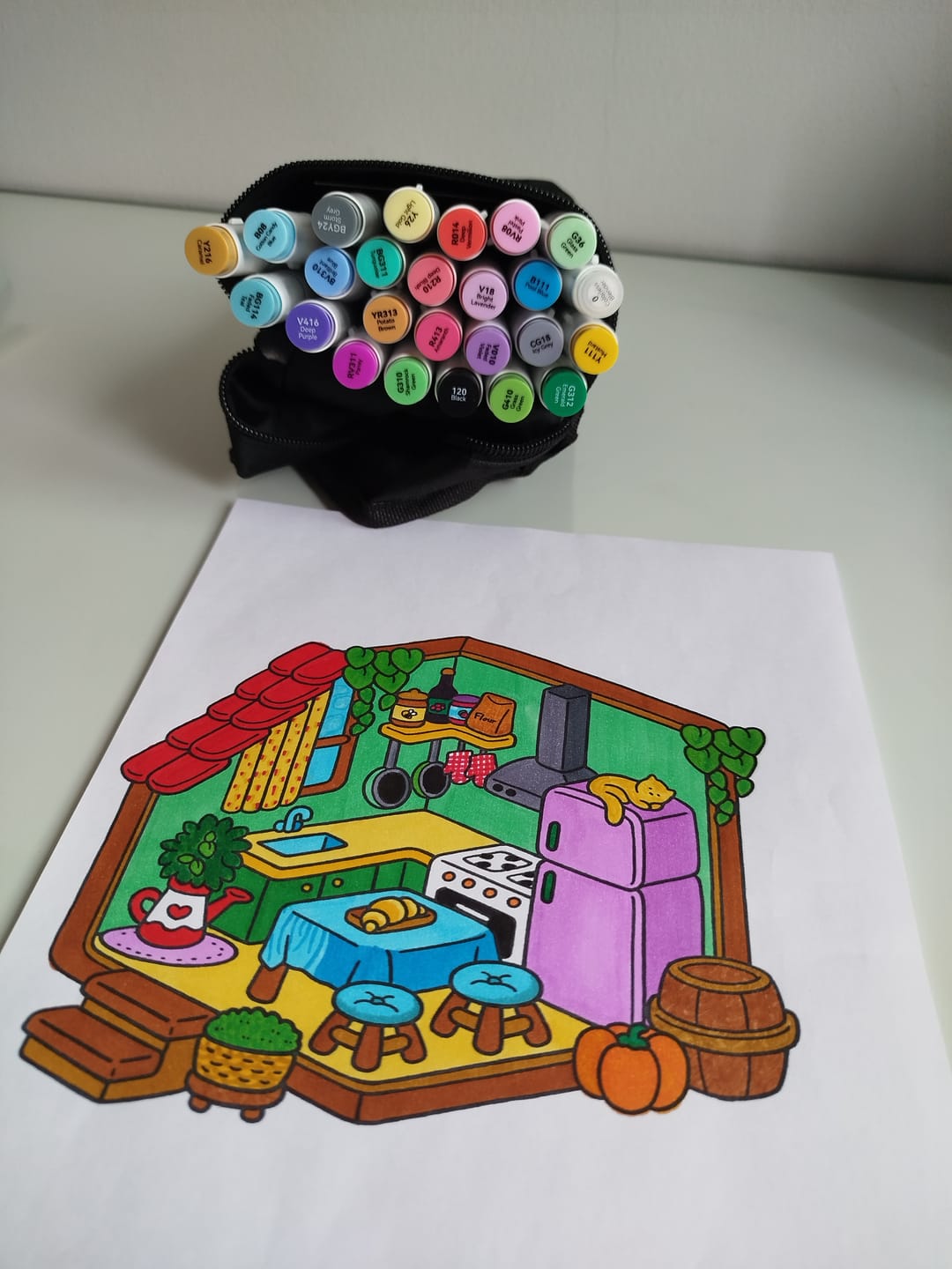 Customer photo review of Ohuhu Honolulu 24 Basic Colors Dual Tips Alcohol Art Markers