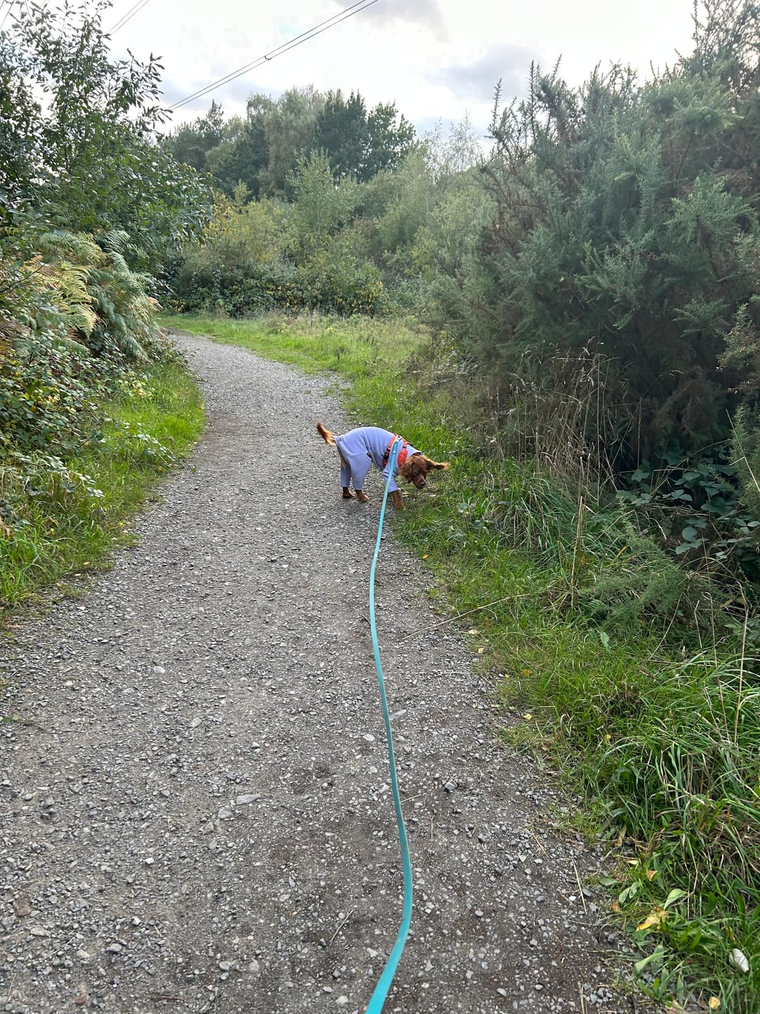 Customer photo review of Tidal Waterproof Longline