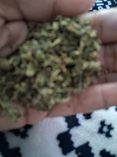 Customer photo review of Exotic Shake