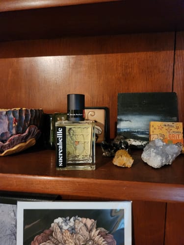 Customer photo review of The Librarian