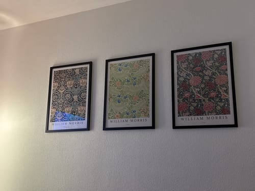 Kundenbewertung mit Foto zu Honeysuckle