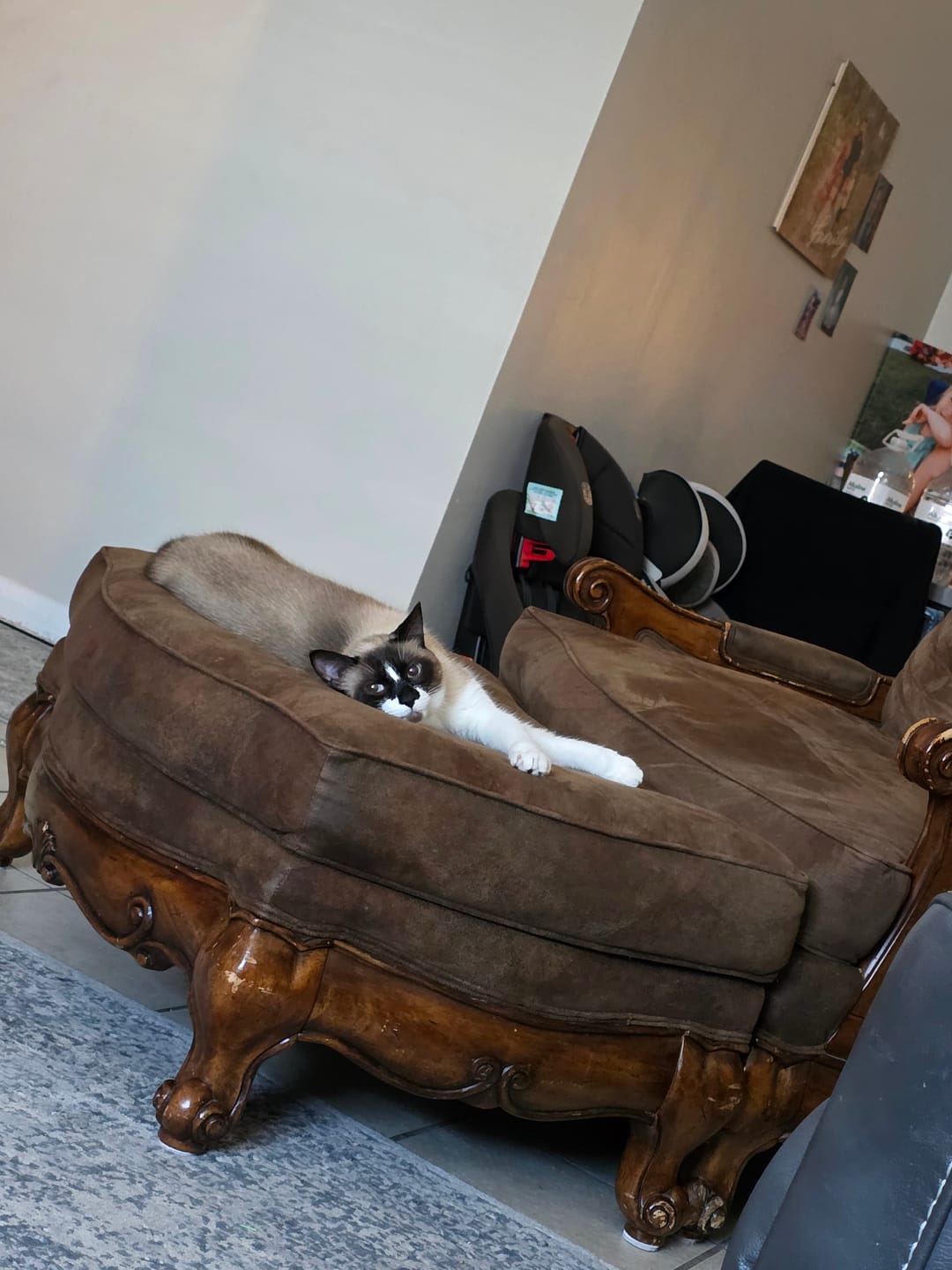 Customer photo review of Royal Canin Veterinary Diet - Feline Urinary SO + Calm Canned Cat Food 3 oz.