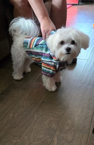 Customer photo review of Playa Poncho - Surprise Color
