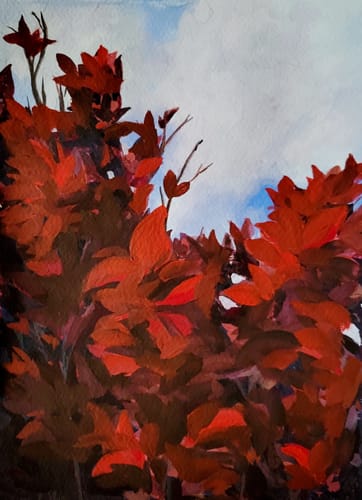 Customer photo review of 10x13 Mounted Prints