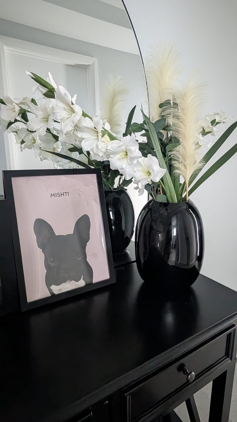 Customer photo review of 1 Pet