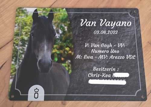 Customer photo review of Pferde Boxenschild mit Foto & Wunschtext (UV- und wetterfest)