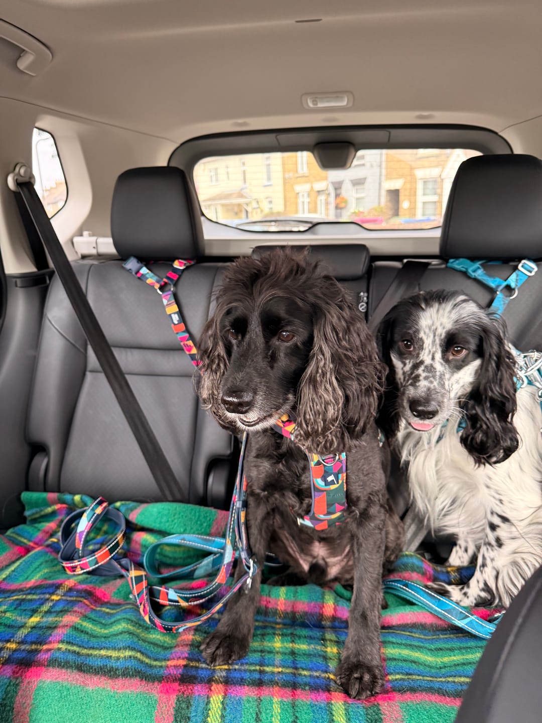 Customer photo review of Headrest Seatbelt