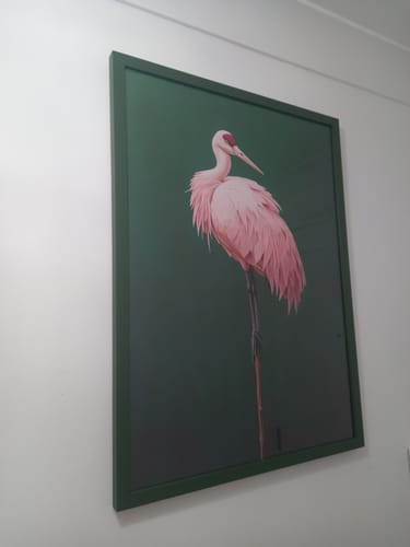 Customer photo review of Pink Crane on Green Print