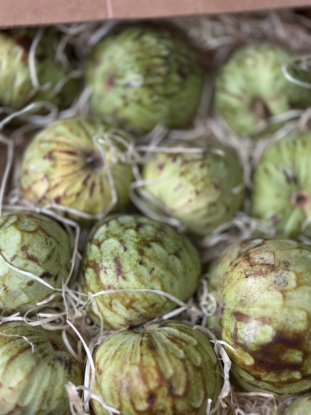 Customer photo review of Cherimoya Bio von Julian