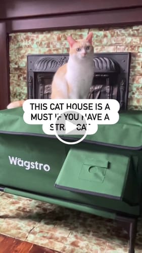 Customer video review of AllGuard Outdoor Heated Cat House – Night Camo