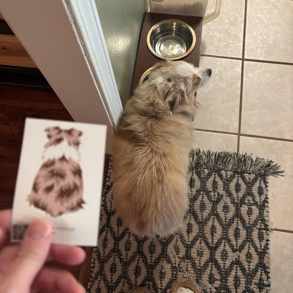 Customer photo review of Aussie Behind Sticker