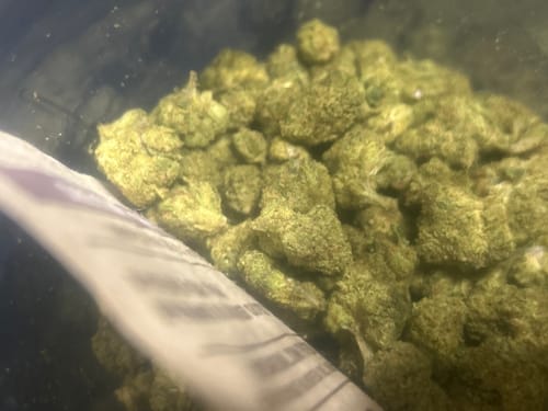 Customer photo review of Lemon Skunk THCA Flower Smalls