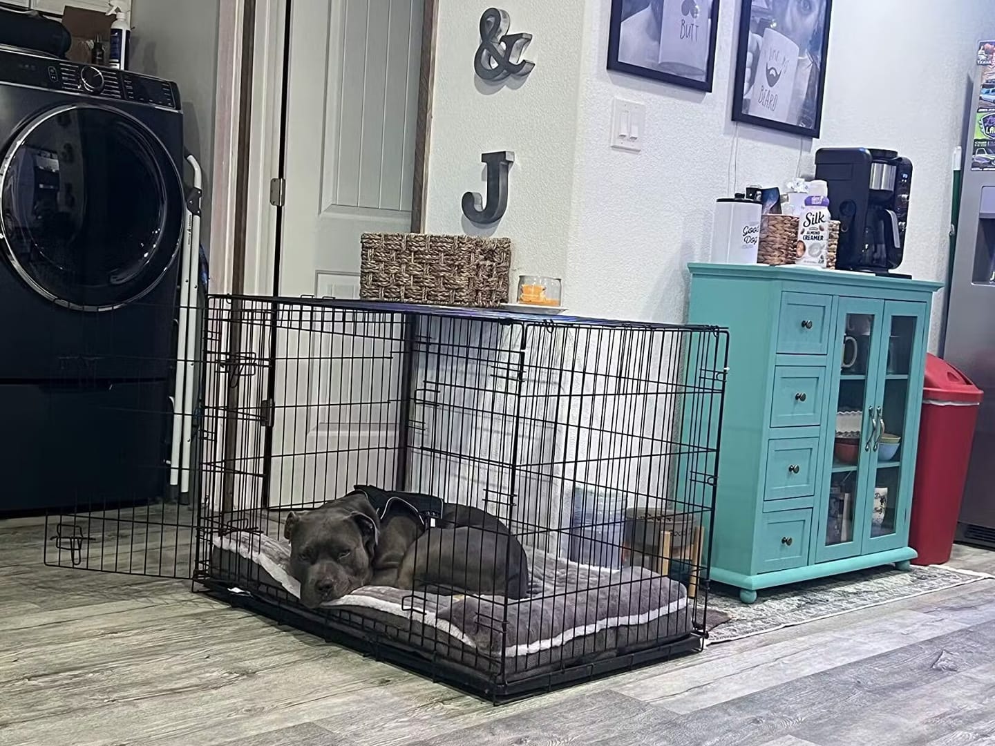 Customer photo review of Grey Scratch-resistant Spine Protection Large Washable Pet Cushion Bed