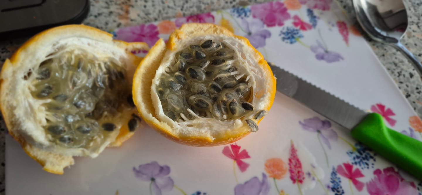 Customer photo review of Süße Granadilla Aktionsbox