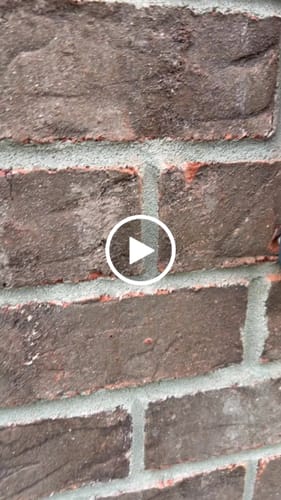 Customer video review of Retractable Garden Hose Reel-5/8in-90ft
