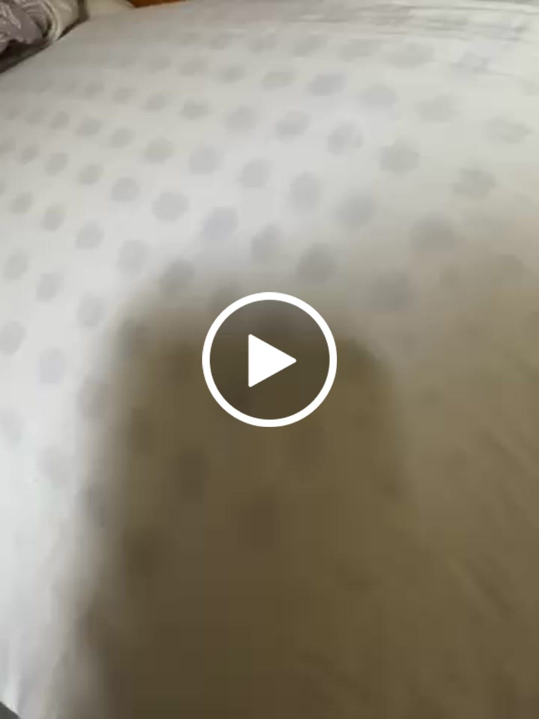 Customer video review of Pernă Silva Latex
