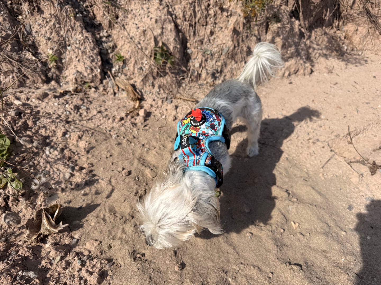 Customer photo review of Boom Pow Bang - Adventure Harness