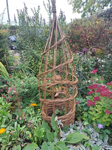 Customer photo review of The Willow Plant Support - Online Course and Kit