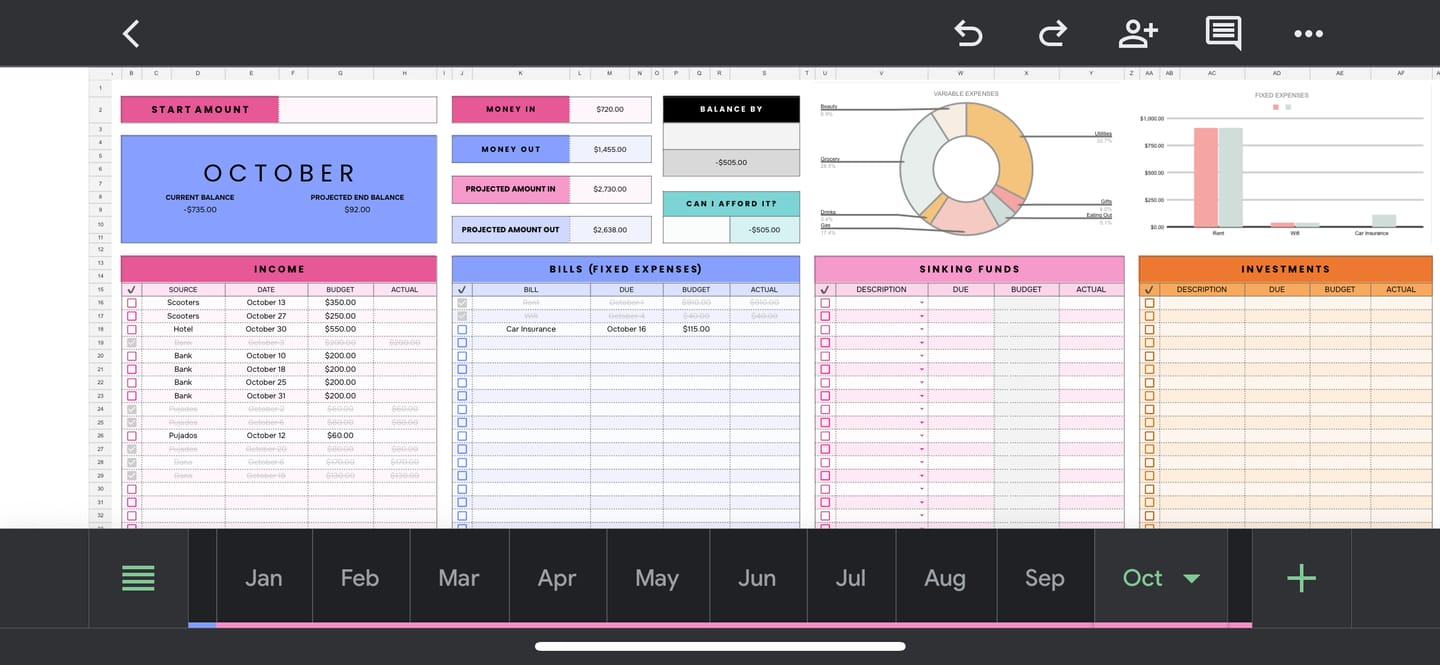 Customer photo review of The Budget Spreadsheet