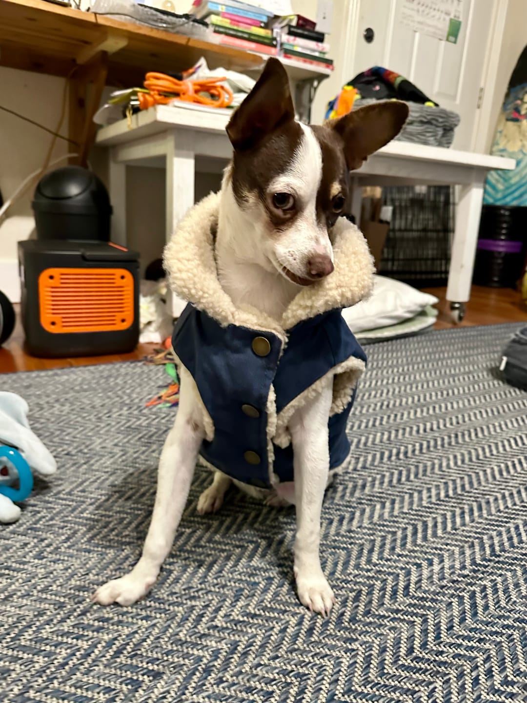 Customer photo review of Workdog Insulated Utility Jacket - Navy