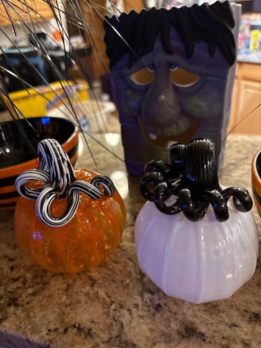 Customer photo review of This is Halloween Mini