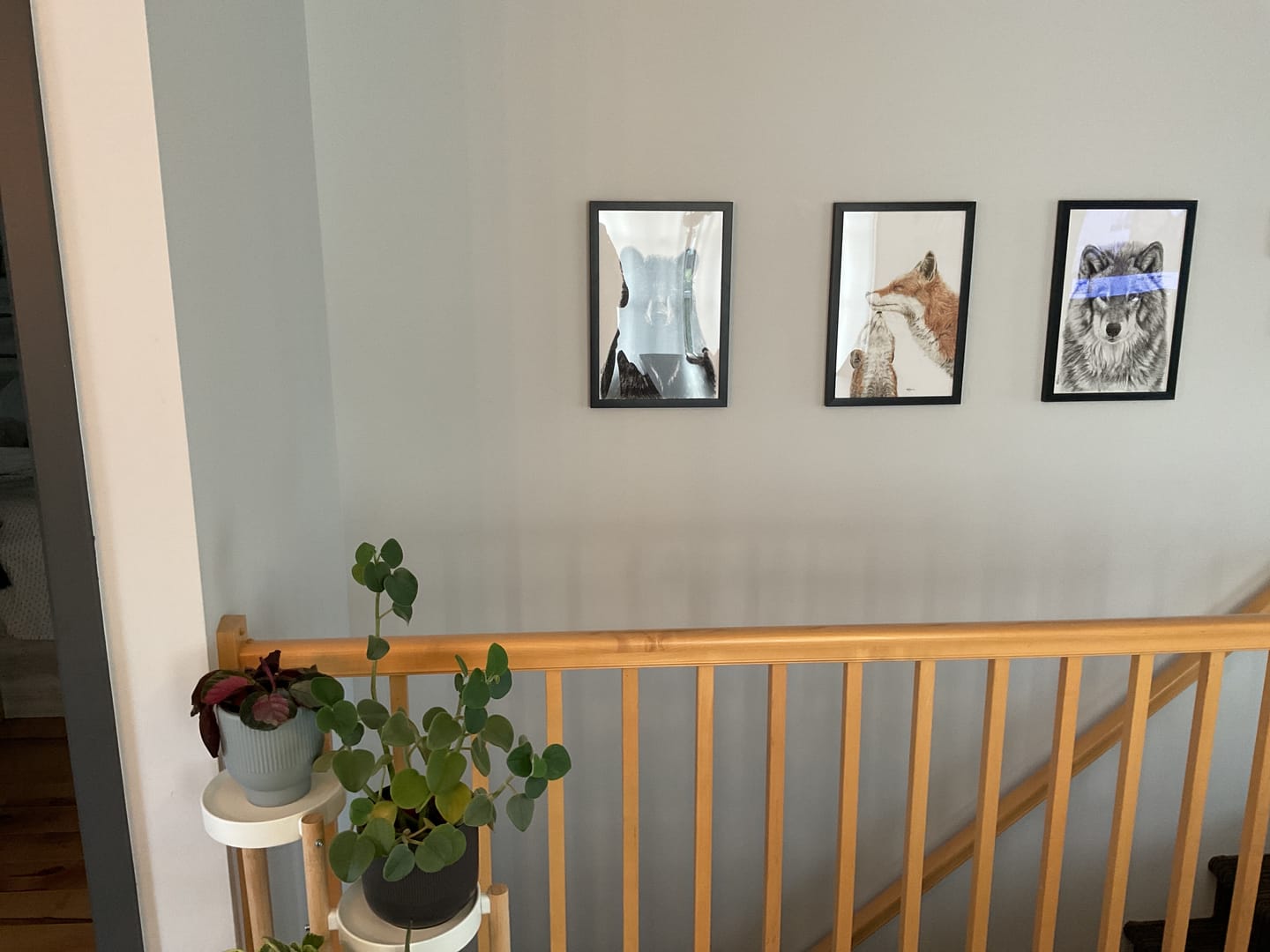 Customer photo review of BUNDLE - Choose any 3 illustrations