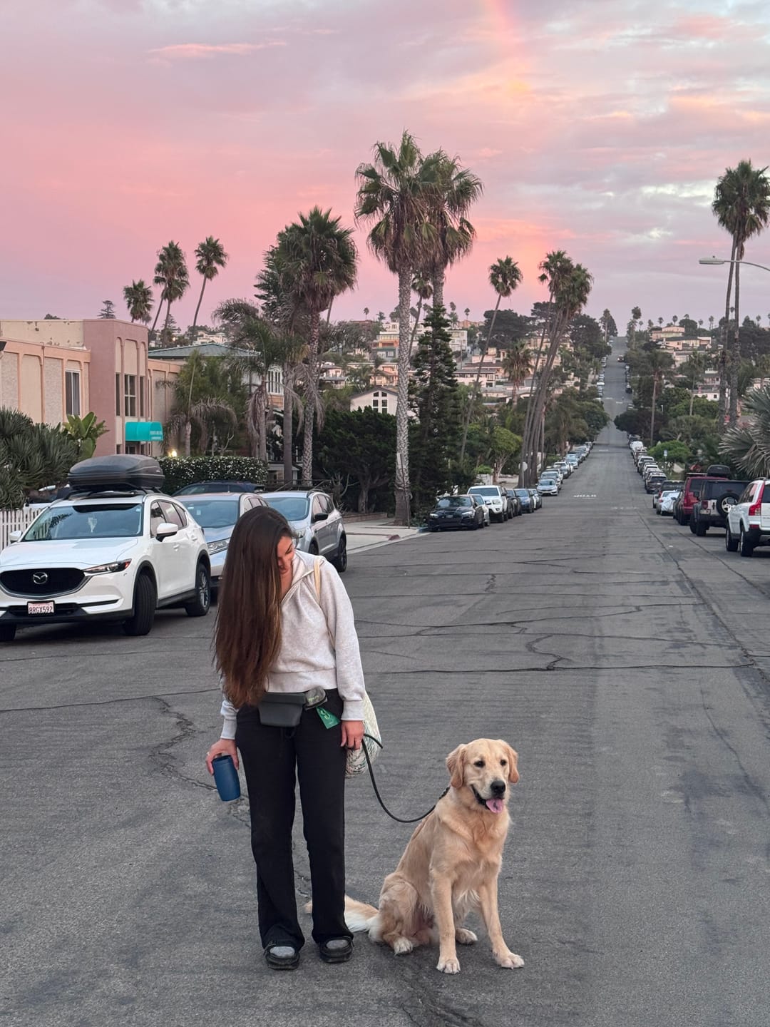 Customer photo review of Traditional Leather Leash