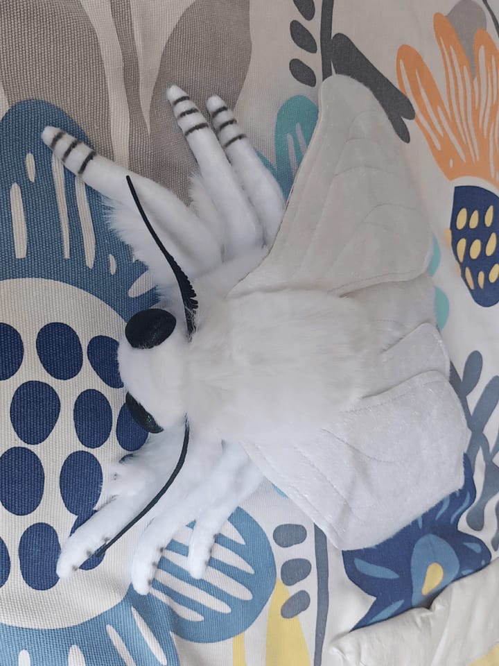Customer photo review of Realistic Fall Webworm Moth Plush – Soft, Detailed, and Perfect for Nature Enthusiasts